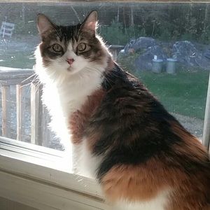 Meet your Posher, Sara-jo